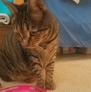 Meet your Posher, Maggie